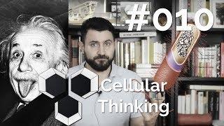 ProArchitect #010 - Celular Thinking and the Architectural "Skin"