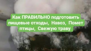 ЛУЧШЕЕ органическое удобрение Как подготовить