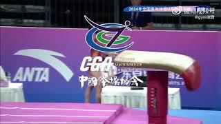 Wang Jiali 2024 Chinese Individual U14 Championships Vault Final 2 