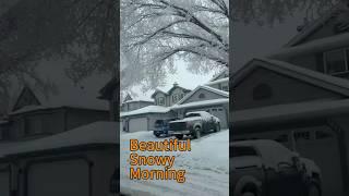 "Calgary's Stunning Winter Morning | -11°C Frosty Vlog | Vlog #11"