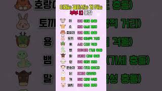 이제라도 갈라서는게 나을 부부띠 궁합 #띠별운세 #궁합 #부부 #쇼츠 #shorts