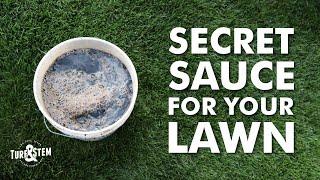 Secret Sauce For Your Lawn - Give your grass a quick boost