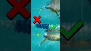 FIX YOUR TIMING! #swimming #nvdmcoaching