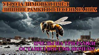 Критика УГРОЗА ЗИМОВКИ ПЛЕСЕНЬ ЛИШНИЕ РАМКИ В ГНЕЗДЕ ПЧЕЛЫ НА ТРИ РАМКИ ОСТАВИЛ ВОСЕМЬ ПОЧЕМУ ️