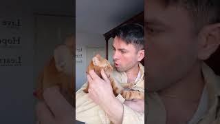 Is my cat too aggressive? #cat #pet #comedy #cute #love #shorts #petsofyoutube