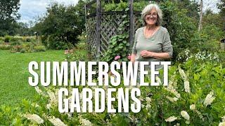 Summersweet Gardens [Stuck in Vermont 722]