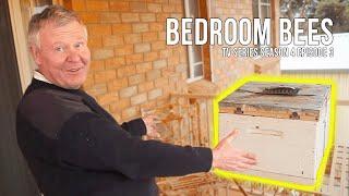 Putting A Beehive On My Wife's Balcony | The Bush Bee Man