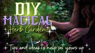  DIY Magical Herb Garden  Witchcraft 101 ‍️ & magical qualities 