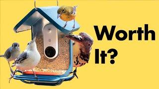 Bird Buddy Smart Bird Feeder Review - 6 Months Later