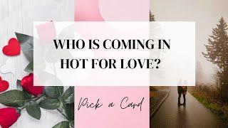 Pick a Card  WHO IS COMING IN HOT FOR LOVE?!  Timeless Tarot Card Reading!!!