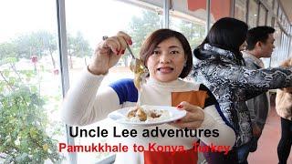 Uncle Lee travels from Pamukkhale to Konya (400km)