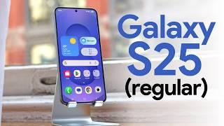 NEW Galaxy S25 (Samsung's Small Flagship)