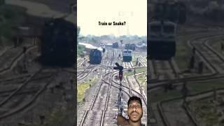 snake vs train #shorts