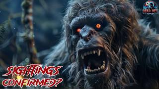 10 Real Yowie Sightings: Bigfoot in the Australian Bush?