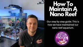 How To Maintain A Nano Reef Aquarium