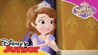 Sofia the First - Amber the Princess Butterfly | Official Disney Junior Africa