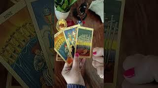 Hindi tarot card reading today @jyotithelightinsidetarot24 #tarot #tarotcardreading