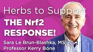 Best Herbs for Supporting the Nrf2 Response