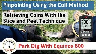 Metal Detecting: Pinpointing and Digging Techniques