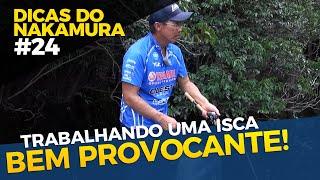 Trabalhando uma isca BEM PROVOCANTE [DICAS DO NAKAMURA #24]