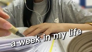 9 to 5 working vlog｜morning study routine｜grocery shopping｜reading