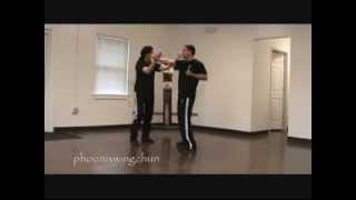 Siu Lim Tao Instructional Video Tan on the Outside