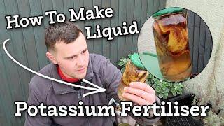 How to make BETTER homemade banana peel liquid potassium fertiliser