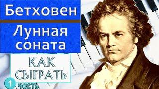 ЛУННАЯ СОНАТА НА ПИАНИНО урок №1 Как сыграть на фортепиано Бетховен Moonlight sonata красивая музыка