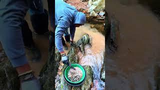 Gold Prospecting a NEW SPOT