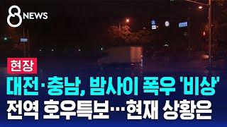 [현장] 대전·충남, 밤사이 폭우 '비상' 전역 호우특보…현재 상황은 / SBS 8뉴스