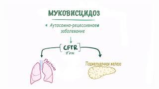 Муковисцидоз - причины, симптомы, диагностика, лечение и патология.