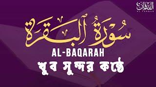 سورة البقرة كاملة لطرد الشياطين من منزلك وجلب البركة بإذن الله Surah Al-Baqarah