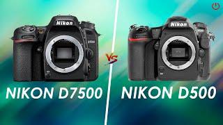 Nikon D7500 vs Nikon D500 | Comparison