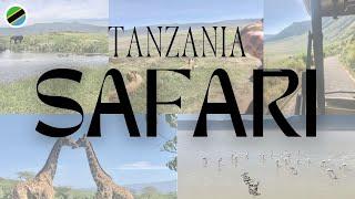 Preview of a Safari Experience in the Ngorongoro Crater in Tanzania