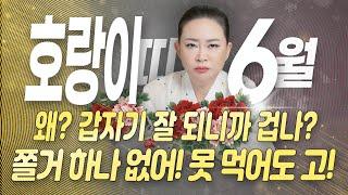 6월 호랑이띠운세 금전, 인연, 운세 전부 상승세! 대운이 폭팔한다