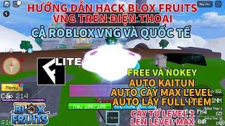 Hướng dẫn hack roblox blox fruits vng update 21 trên điện thoại cho người mới - cách hack max level