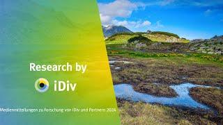 Research Made By iDiv und Partner in 2024 - Deutsch