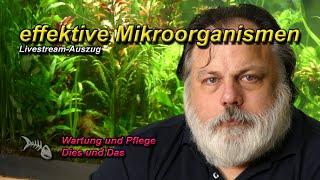 eM´s ausführlich - Was sind effektive Mikroorganismen und was bewirken sie im Aquarium?