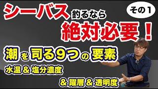 【完全解説】潮を司る9つの要素　その1【潮が読めるようになる】