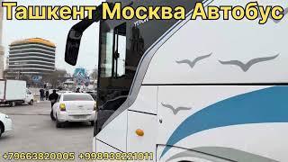 ТАШКЕНТ МОСКВА АВТОБУС !!! москва-ташкент автобус!!!