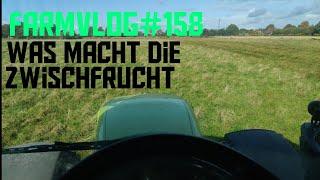 Farmvlog#158 was macht die zwischfrucht/Anfahrtschutz Dieseltank/ Klappfahrrad von engwe