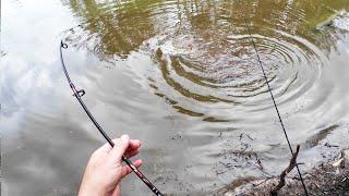 AWESOME By-Catch While Fishing In A Drying Lagoon