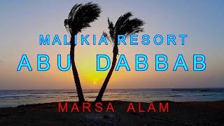 MALIKIA Resort Abu Dabbab Hotel. Marsa Alam, Egypt