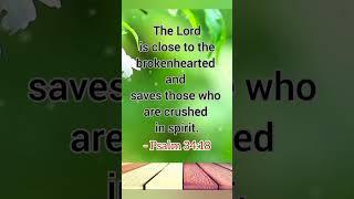 The Most Comforting Verse Ever | Way of life | Bible verses | Christianity | Spirituality |   shorts