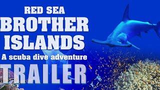 RED SEA: BROTHER ISLANDS – A SCUBA DIVE ADVENTURE Official Trailer (2024) Documentary