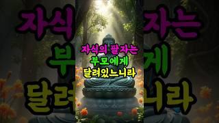 자식의 팔자는 부모가 바꿀 수 있느니라 #부처님말씀 #불교 #자식운 #참회 #복짓기 #업장소멸