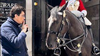 The Enigmatic Encounter: A Man Meets a Regal Horse!  #MysteryMan