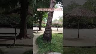 Havelock Island | Travel and Food with Komal | Andaman | Travel | Nature | Beautiful Resort