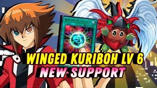 HERO - Winged Kuriboh LV6 TESTING NEW CARD 