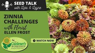 Seed Talk #52 - Zinnia Challenges with Florist Ellen Frost #flowerfarm #seedtalk #zinnia